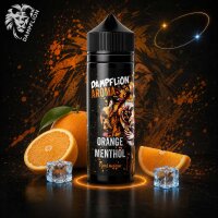 Dampflion Intense Orange Menthol Aroma