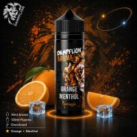 Dampflion Intense Orange Menthol - Longfill Aroma 10ml
