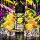 Strapped Sour Citrus Twist Aroma • 10 ml