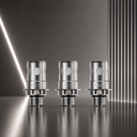 Innokin Z-Coil Mesh V2 Verdampferkopf