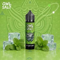 OWL Salt Spearmint - Longfill Aroma 10ml
