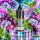 PopLiq Traube Minze V2 NicSalt 10ml