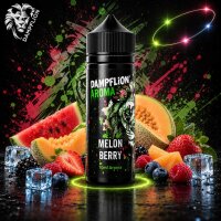 Dampflion Intense Melonberry - Longfill Aroma 10ml
