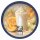 Holy Cow Melon Milkshake - Nikotinsalz eLiquid 10ml