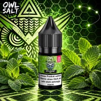 OWL Salt Spearmint - Nikotinsalz eLiquid 10ml