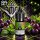 OWL Salt Traube Minze - Nikotinsalz eLiquid 10ml